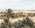 Picture of Desert Greens _GroupedProduct_Rectangle_Landscape_Photography _GroupedProduct_Rectangle_Landscape_Unframed_Print_Only_