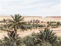 Picture of Desert Greens _GroupedProduct_Rectangle_Landscape_Photography _GroupedProduct_Rectangle_Landscape_Unframed_Print_Only_