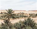 Picture of Desert Greens _GroupedProduct_Rectangle_Landscape_Photography _GroupedProduct_Rectangle_Landscape_Unframed_Print_Only_