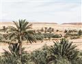 Picture of Desert Greens _GroupedProduct_Rectangle_Landscape_Photography _GroupedProduct_Rectangle_Landscape_Unframed_Print_Only_