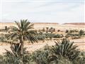Picture of Desert Greens _GroupedProduct_Rectangle_Landscape_Photography _GroupedProduct_Rectangle_Landscape_Unframed_Print_Only_