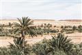 Picture of Desert Greens _GroupedProduct_Rectangle_Landscape_Photography _GroupedProduct_Rectangle_Landscape_Unframed_Print_Only_