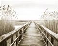 Picture of A Wooden Bridge _GroupedProduct_Rectangle_Landscape_Photography _GroupedProduct_Rectangle_Landscape_Unframed_Print_Only_