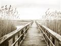 Picture of A Wooden Bridge _GroupedProduct_Rectangle_Landscape_Photography _GroupedProduct_Rectangle_Landscape_Unframed_Print_Only_