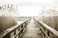 Picture of A Wooden Bridge _GroupedProduct_Rectangle_Landscape_Photography _GroupedProduct_Rectangle_Landscape_Unframed_Print_Only_