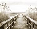 Picture of A Wooden Bridge _GroupedProduct_Rectangle_Landscape_Photography _GroupedProduct_Rectangle_Landscape_Unframed_Print_Only_