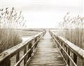 Picture of A Wooden Bridge _GroupedProduct_Rectangle_Landscape_Photography _GroupedProduct_Rectangle_Landscape_Unframed_Print_Only_