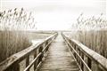 Picture of A Wooden Bridge _GroupedProduct_Rectangle_Landscape_Photography _GroupedProduct_Rectangle_Landscape_Unframed_Print_Only_