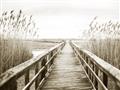 Picture of A Wooden Bridge _GroupedProduct_Rectangle_Landscape_Photography _GroupedProduct_Rectangle_Landscape_Unframed_Print_Only_