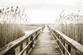Picture of A Wooden Bridge _GroupedProduct_Rectangle_Landscape_Photography _GroupedProduct_Rectangle_Landscape_Unframed_Print_Only_