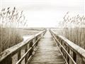 Picture of A Wooden Bridge _GroupedProduct_Rectangle_Landscape_Photography _GroupedProduct_Rectangle_Landscape_Unframed_Print_Only_