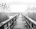 Picture of A Wooden Bridge _GroupedProduct_Rectangle_Landscape_Photography _GroupedProduct_Rectangle_Landscape_Unframed_Print_Only_