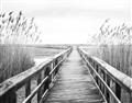 Picture of A Wooden Bridge _GroupedProduct_Rectangle_Landscape_Photography _GroupedProduct_Rectangle_Landscape_Unframed_Print_Only_
