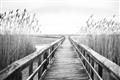 Picture of A Wooden Bridge _GroupedProduct_Rectangle_Landscape_Photography _GroupedProduct_Rectangle_Landscape_Unframed_Print_Only_