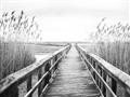 Picture of A Wooden Bridge _GroupedProduct_Rectangle_Landscape_Photography _GroupedProduct_Rectangle_Landscape_Unframed_Print_Only_