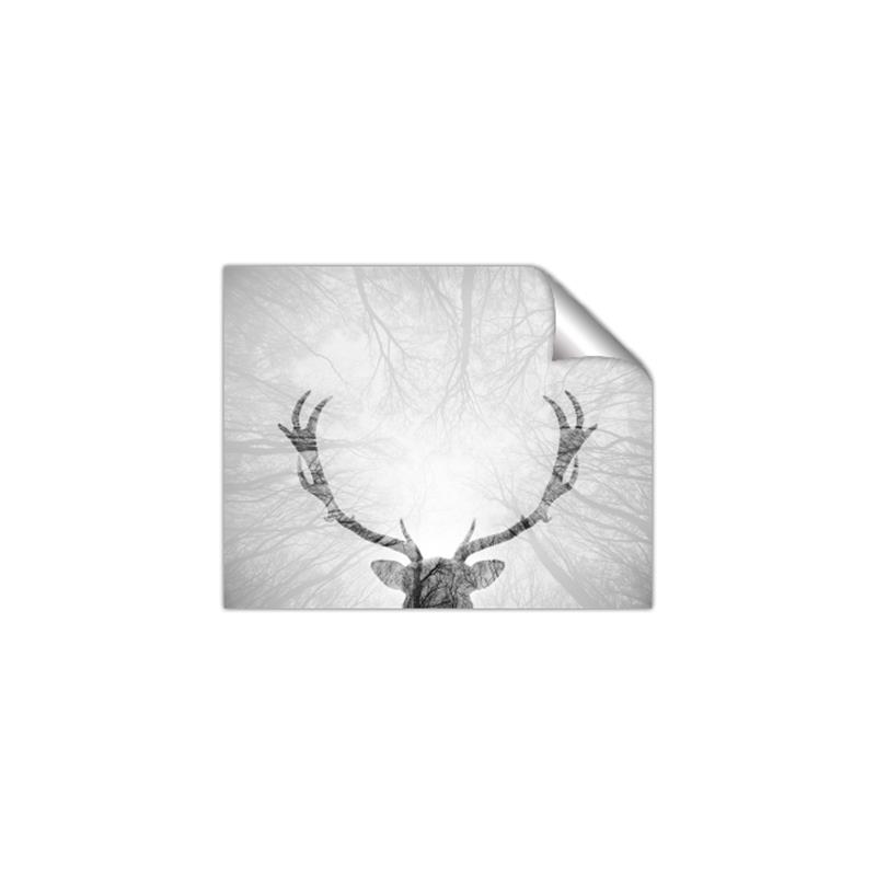 Picture of Forest King  _GroupedProduct_Rectangle_Landscape_Photography _GroupedProduct_Rectangle_Landscape_Unframed_Print_Only_