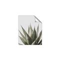 Picture of Cactus Succulent _GroupedProduct_Rectangle_Portrait_Photography _GroupedProduct_Rectangle_Portrait_Unframed_Print_Only_