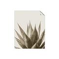 Picture of Cactus Succulent _GroupedProduct_Rectangle_Portrait_Photography _GroupedProduct_Rectangle_Portrait_Unframed_Print_Only_