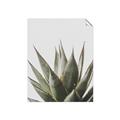 Picture of Cactus Succulent _GroupedProduct_Rectangle_Portrait_Photography _GroupedProduct_Rectangle_Portrait_Unframed_Print_Only_