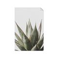Picture of Cactus Succulent _GroupedProduct_Rectangle_Portrait_Photography _GroupedProduct_Rectangle_Portrait_Unframed_Print_Only_