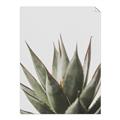 Picture of Cactus Succulent _GroupedProduct_Rectangle_Portrait_Photography _GroupedProduct_Rectangle_Portrait_Unframed_Print_Only_