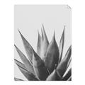 Picture of Cactus Succulent _GroupedProduct_Rectangle_Portrait_Photography _GroupedProduct_Rectangle_Portrait_Unframed_Print_Only_