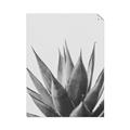 Picture of Cactus Succulent _GroupedProduct_Rectangle_Portrait_Photography _GroupedProduct_Rectangle_Portrait_Unframed_Print_Only_