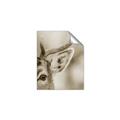 Picture of Eye of the Deer _GroupedProduct_Rectangle_Portrait_Photography _GroupedProduct_Rectangle_Portrait_Unframed_Print_Only_
