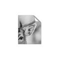 Picture of Eye of the Deer _GroupedProduct_Rectangle_Portrait_Photography _GroupedProduct_Rectangle_Portrait_Unframed_Print_Only_