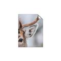 Picture of Eye of the Deer _GroupedProduct_Rectangle_Portrait_Photography _GroupedProduct_Rectangle_Portrait_Unframed_Print_Only_