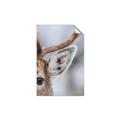 Picture of Eye of the Deer _GroupedProduct_Rectangle_Portrait_Photography _GroupedProduct_Rectangle_Portrait_Unframed_Print_Only_
