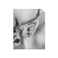 Picture of Eye of the Deer _GroupedProduct_Rectangle_Portrait_Photography _GroupedProduct_Rectangle_Portrait_Unframed_Print_Only_