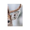 Picture of Eye of the Deer _GroupedProduct_Rectangle_Portrait_Photography _GroupedProduct_Rectangle_Portrait_Unframed_Print_Only_