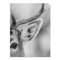 Picture of Eye of the Deer _GroupedProduct_Rectangle_Portrait_Photography _GroupedProduct_Rectangle_Portrait_Unframed_Print_Only_