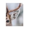 Picture of Eye of the Deer _GroupedProduct_Rectangle_Portrait_Photography _GroupedProduct_Rectangle_Portrait_Unframed_Print_Only_