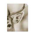 Picture of Eye of the Deer _GroupedProduct_Rectangle_Portrait_Photography _GroupedProduct_Rectangle_Portrait_Unframed_Print_Only_