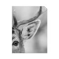Picture of Eye of the Deer _GroupedProduct_Rectangle_Portrait_Photography _GroupedProduct_Rectangle_Portrait_Unframed_Print_Only_