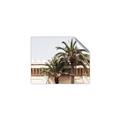 Picture of Wall with Palm Tree _GroupedProduct_Rectangle_Landscape_Photography _GroupedProduct_Rectangle_Landscape_Unframed_Print_Only_