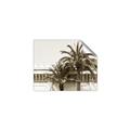 Picture of Wall with Palm Tree _GroupedProduct_Rectangle_Landscape_Photography _GroupedProduct_Rectangle_Landscape_Unframed_Print_Only_