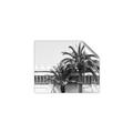 Picture of Wall with Palm Tree _GroupedProduct_Rectangle_Landscape_Photography _GroupedProduct_Rectangle_Landscape_Unframed_Print_Only_