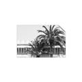 Picture of Wall with Palm Tree _GroupedProduct_Rectangle_Landscape_Photography _GroupedProduct_Rectangle_Landscape_Unframed_Print_Only_