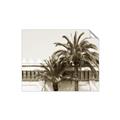 Picture of Wall with Palm Tree _GroupedProduct_Rectangle_Landscape_Photography _GroupedProduct_Rectangle_Landscape_Unframed_Print_Only_