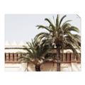 Picture of Wall with Palm Tree _GroupedProduct_Rectangle_Landscape_Photography _GroupedProduct_Rectangle_Landscape_Unframed_Print_Only_