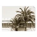 Picture of Wall with Palm Tree _GroupedProduct_Rectangle_Landscape_Photography _GroupedProduct_Rectangle_Landscape_Unframed_Print_Only_