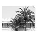 Picture of Wall with Palm Tree _GroupedProduct_Rectangle_Landscape_Photography _GroupedProduct_Rectangle_Landscape_Unframed_Print_Only_