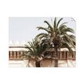 Picture of Wall with Palm Tree _GroupedProduct_Rectangle_Landscape_Photography _GroupedProduct_Rectangle_Landscape_Unframed_Print_Only_
