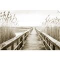 Picture of A Wooden Bridge _GroupedProduct_Rectangle_Landscape_Photography _GroupedProduct_Rectangle_Landscape_Unframed_Print_Only_
