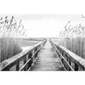 Picture of A Wooden Bridge _GroupedProduct_Rectangle_Landscape_Photography _GroupedProduct_Rectangle_Landscape_Unframed_Print_Only_