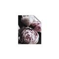 Picture of Blush Bloom _GroupedProduct_Rectangle_Portrait_Photography _GroupedProduct_Rectangle_Portrait_Unframed_Print_Only_