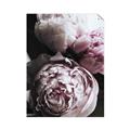 Picture of Blush Bloom _GroupedProduct_Rectangle_Portrait_Photography _GroupedProduct_Rectangle_Portrait_Unframed_Print_Only_